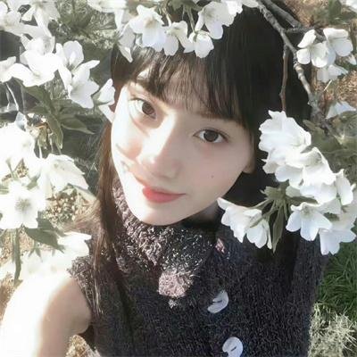 墓野魅影